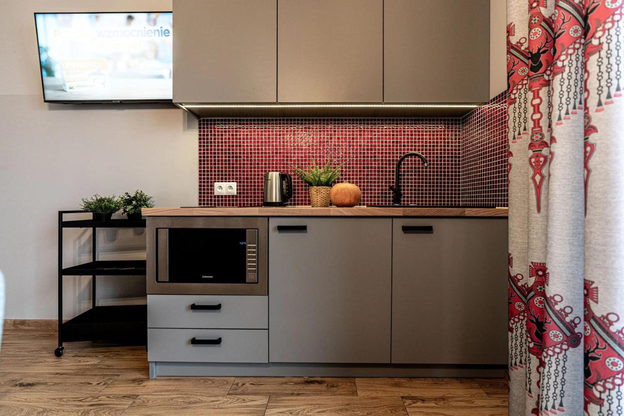 Apartamenty Widokowe U Homera Zakopane Kültér fotó